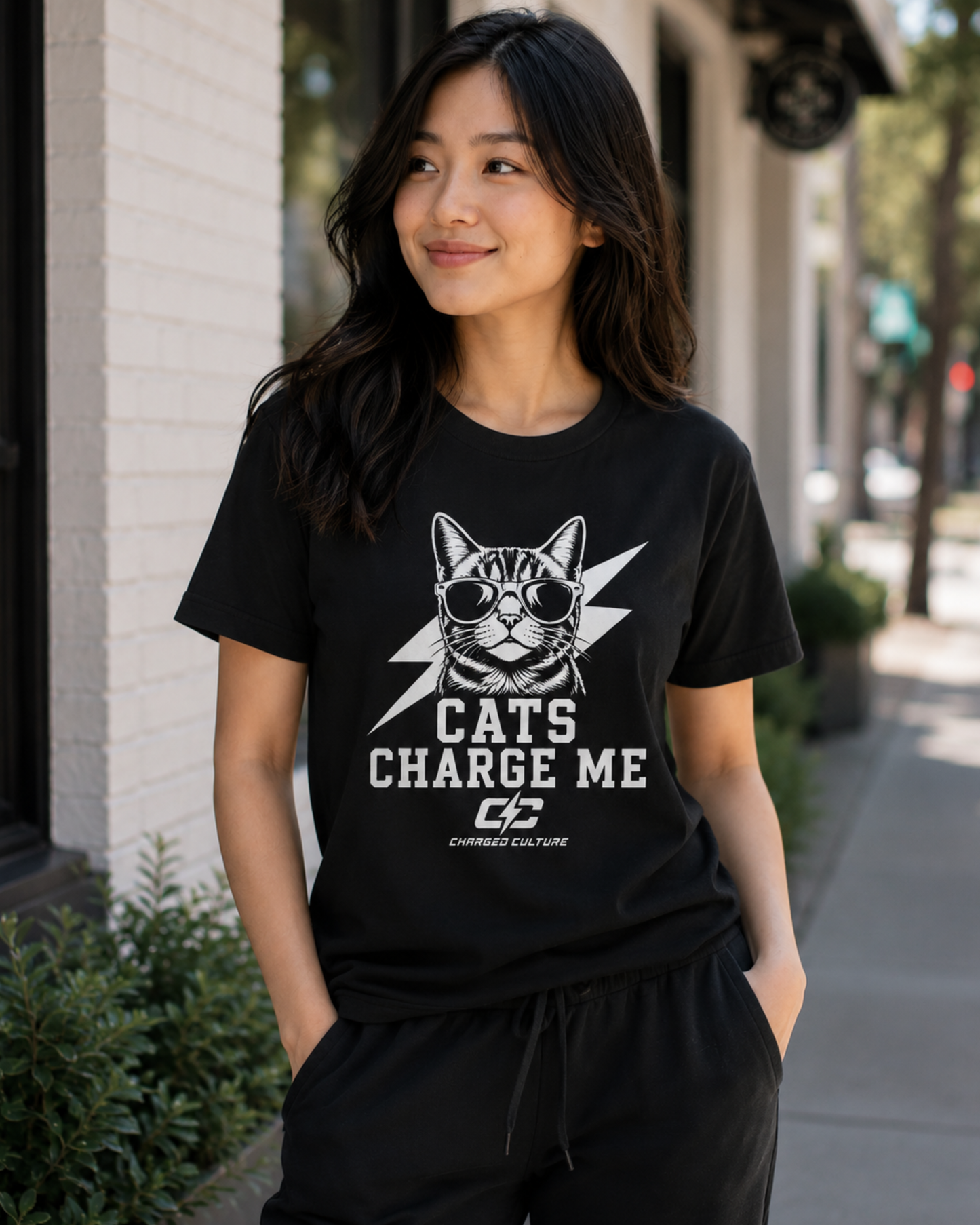Cats Charge Me 2 Premium T-Shirt