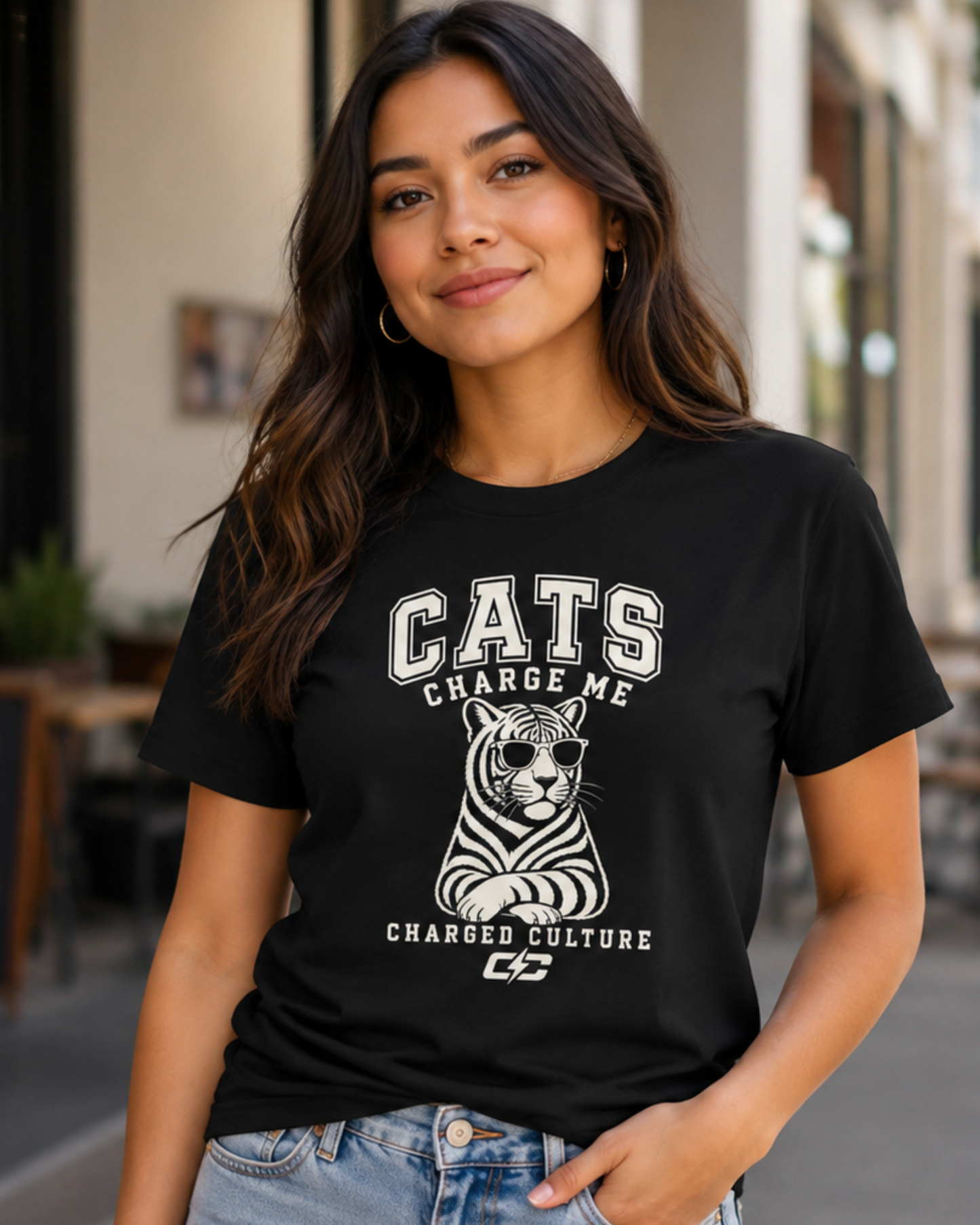 Cats Charge Me Premium T-Shirt